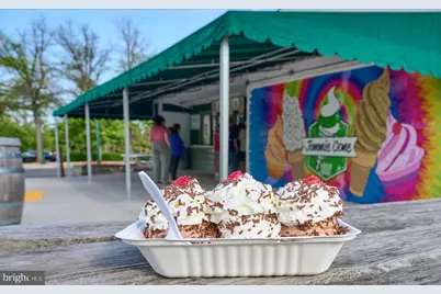 26821 Clarksburg Road, Damascus, MD 20872 - Photo 19