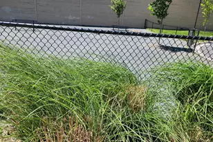 16240 Connors Wy, Rockville, MD 20855 - Photo 45