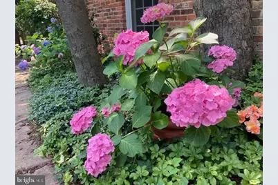 6904 Old Gate Lane, North Bethesda, MD 20852 - Photo 69