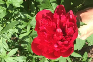 19619 Hoover Farm, Gaithersburg, MD 20882 - Photo 69