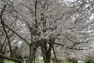 19619 Hoover Farm, Gaithersburg, MD 20882 - Photo 65