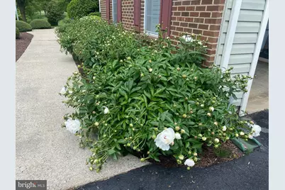 19619 Hoover Farm, Gaithersburg, MD 20882 - Photo 67