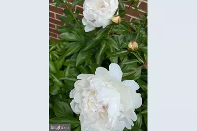 19619 Hoover Farm, Gaithersburg, MD 20882 - Photo 71