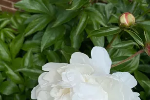 19619 Hoover Farm, Gaithersburg, MD 20882 - Photo 71