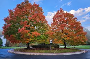 19619 Hoover Farm, Gaithersburg, MD 20882 - Photo 61