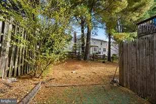 13221 Black Walnut Ct, Silver Spring, MD 20906 - Photo 29