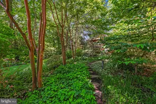 7908 Fenway Rd, Bethesda, MD 20817 - Photo 43