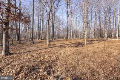 15323 Forest Lake Court, Darnestown, MD 20874 - Photo 9