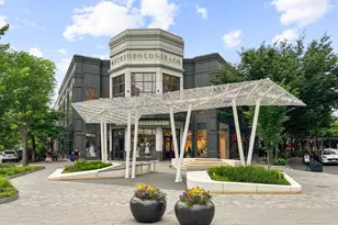 4817 Chevy Chase Blvd, Chevy Chase, MD 20815 - Photo 75