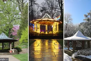 2205 Parker Ave, Silver Spring, MD 20902 - Photo 69