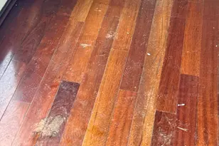 11348 Baroque Rd, Silver Spring, MD 20901 - Photo 7