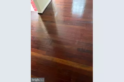 11348 Baroque Road, Silver Spring, MD 20901 - Photo 17