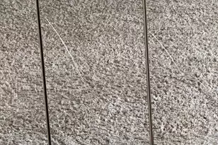 11348 Baroque Rd, Silver Spring, MD 20901 - Photo 29