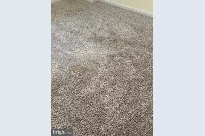 11348 Baroque Road, Silver Spring, MD 20901 - Photo 37