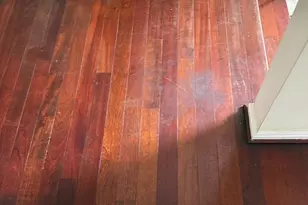 11348 Baroque Rd, Silver Spring, MD 20901 - Photo 19