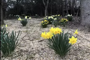 12413 Pueblo Rd, Gaithersburg, MD 20878 - Photo 77