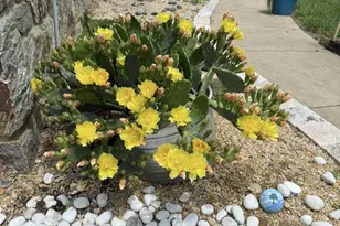 12413 Pueblo Rd, Gaithersburg, MD 20878 - Photo 55