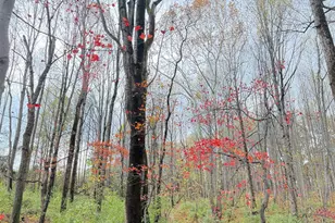 12413 Pueblo Rd, Gaithersburg, MD 20878 - Photo 87