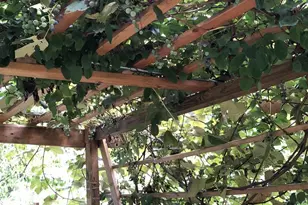 12413 Pueblo Rd, Gaithersburg, MD 20878 - Photo 57