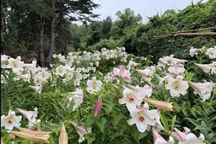 12413 Pueblo Rd, Gaithersburg, MD 20878 - Photo 49