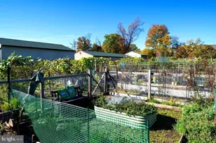 15115 Interlachen Dr, Silver Spring, MD 20906 - Photo 33