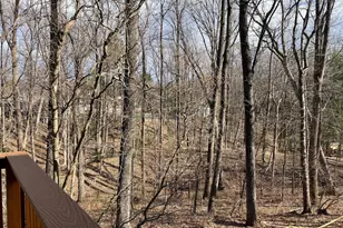 12235 Tildenwood Dr, Rockville, MD 20852 - Photo 21