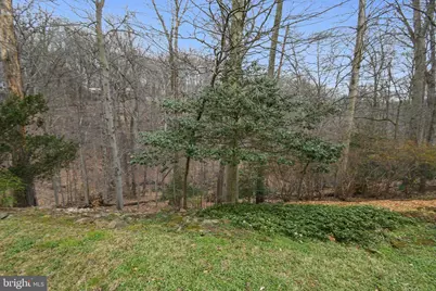 10605 Meadowhill Road, Silver Spring, MD 20901 - Photo 47