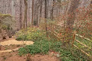 10605 Meadowhill Rd, Silver Spring, MD 20901 - Photo 47