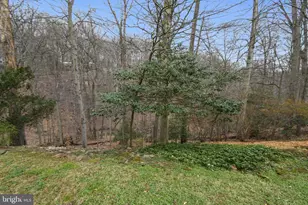 10605 Meadowhill Rd, Silver Spring, MD 20901 - Photo 49