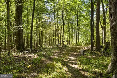 16112 Barnesville Road, Boyds, MD 20841 - Photo 85