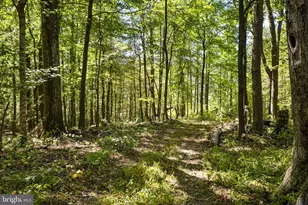 16112 Barnesville Rd, Boyds, MD 20841 - Photo 85