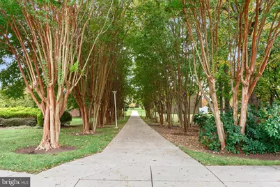 3310 N Leisure World Boulevard #519, Silver Spring, MD 20906 - Photo 29