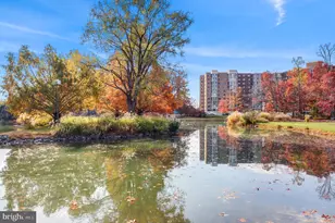 15101 Interlachen Dr, Silver Spring, MD 20906 - Photo 45