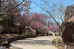 7111 Woodmont Ave, Bethesda, MD 20815 - Photo 3