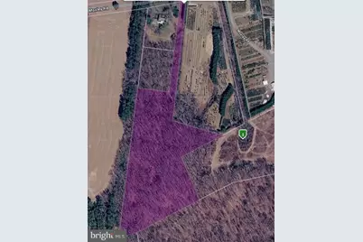 P #350 Moxley Road, Damascus, MD 20872 - Photo 3