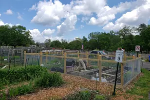 2900 N Leisure World Blvd, Silver Spring, MD 20906 - Photo 45