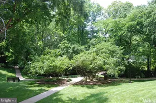 10212 Rockville Pike, North Bethesda, MD 20852 - Photo 15