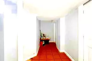 12124 Livingston St, Silver Spring, MD 20902 - Photo 7