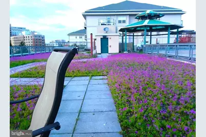 7981 Eastern Avenue #211, Silver Spring, MD 20910 - Photo 21