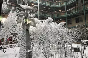 7981 Eastern Ave, Silver Spring, MD 20910 - Photo 5