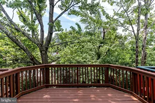 2841 Shepperton Terrace, Silver Spring, MD 20904 - Photo 43