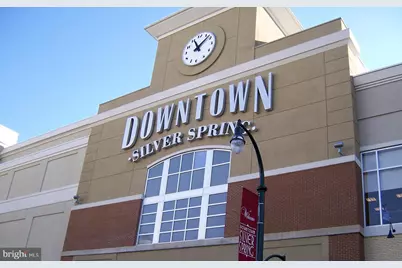 1900 Lyttonsville Road #718, Silver Spring, MD 20910 - Photo 35