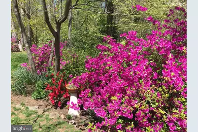 935 Loxford Terrace, Silver Spring, MD 20901 - Photo 41