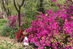 935 Loxford Terrace, Silver Spring, MD 20901 - Photo 41