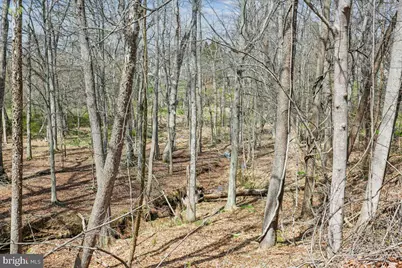 11112 Tara Rd, Potomac, MD 20854 - Photo 41