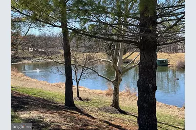 11305 Potomac Oaks Drive, Rockville, MD 20850 - Photo 9