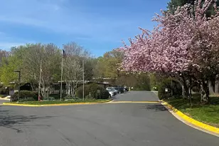 7501 Spring Lake Dr, Bethesda, MD 20817 - Photo 25