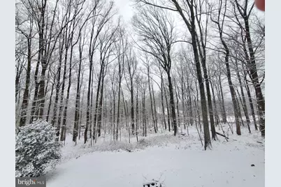 10101 Lloyd Road, Potomac, MD 20854 - Photo 65