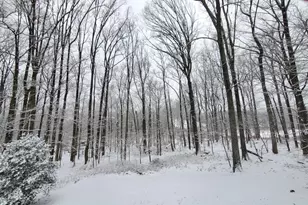 10101 Lloyd Rd, Potomac, MD 20854 - Photo 65