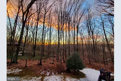 10101 Lloyd Road, Potomac, MD 20854 - Photo 61